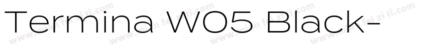 Termina W05 Black字体转换